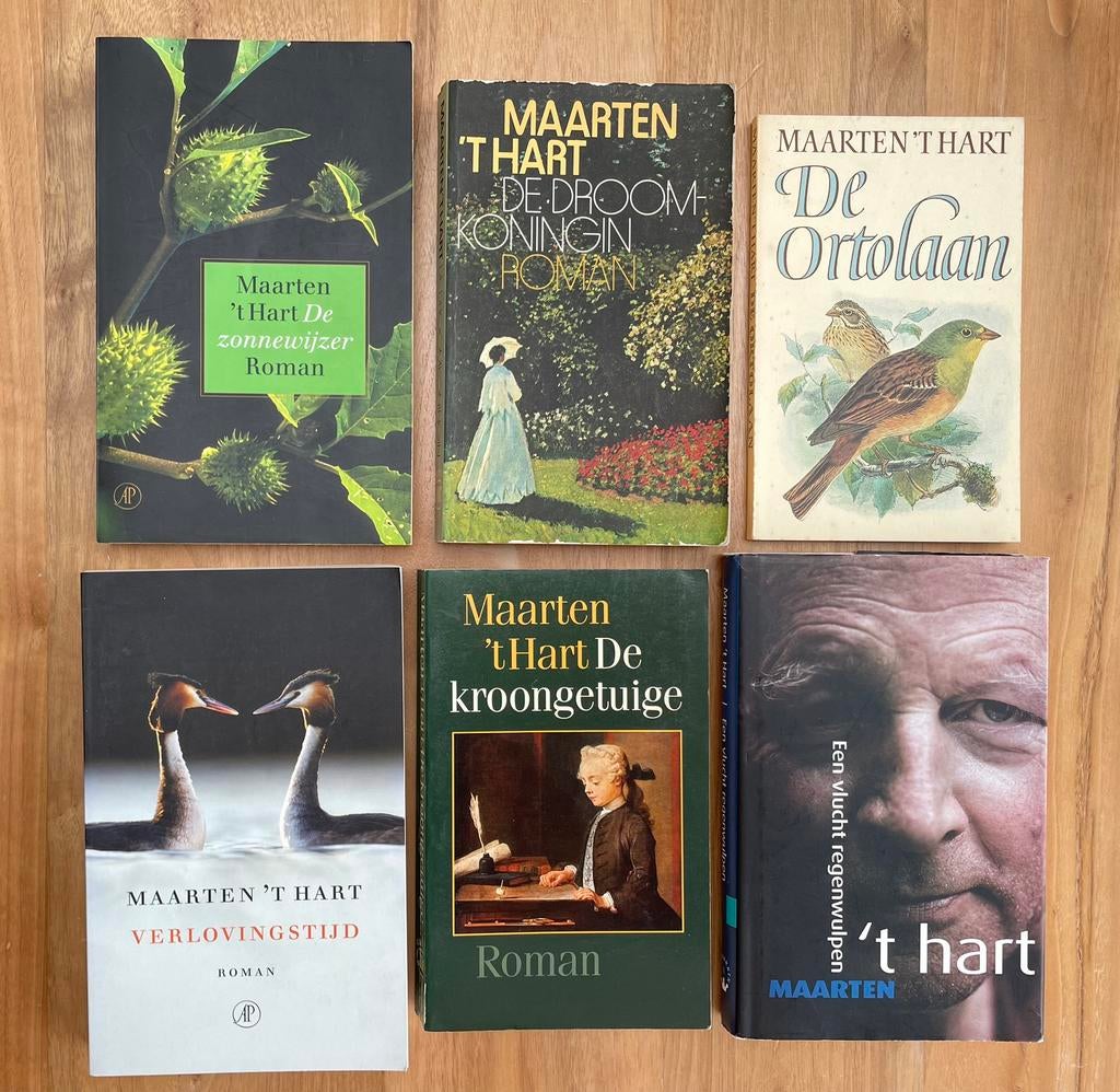 6 boeken van Maarten ‘t Hart, Ophalen of Verzenden, Zo goed als nieuw, Nederland