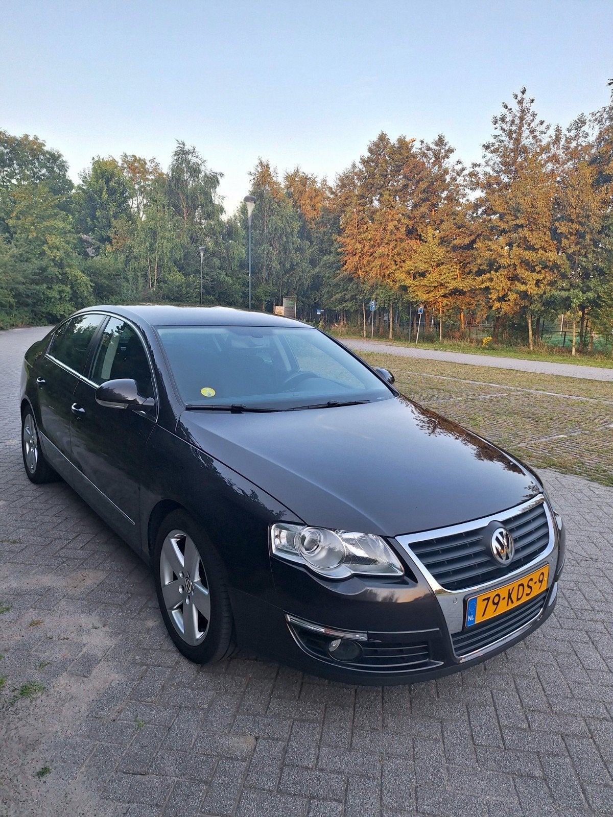 Volkswagen Passat 1.8 Tfsi 118KW 2009 Bruin