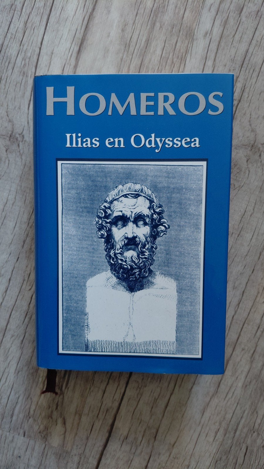 Homeros: Ilias en Odyssee - Klassiek epos, Boeken, Ophalen of Verzenden, Gelezen, Homeros, België