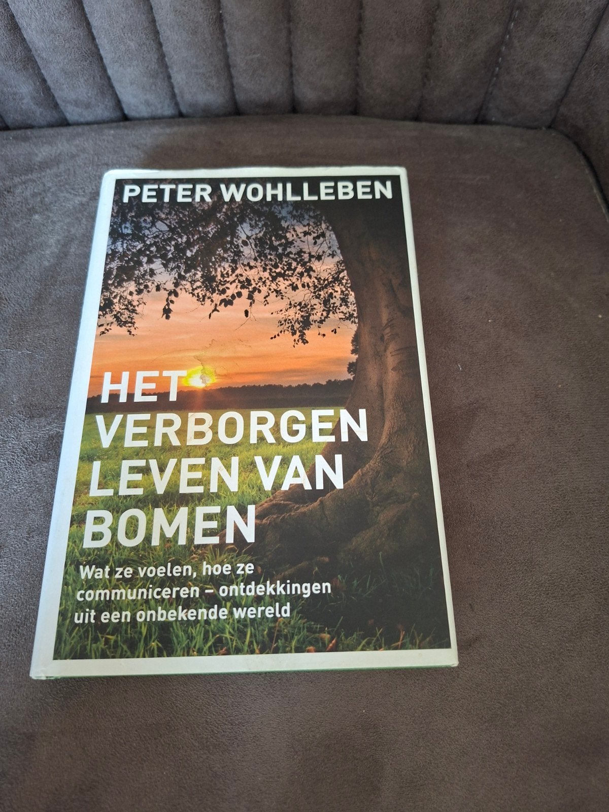 Het Verborgen Leven van Bomen - Peter Wohlleben, Ophalen of Verzenden, Zo goed als nieuw, Bloemen, Planten en Bomen, Peter Wohlleben
