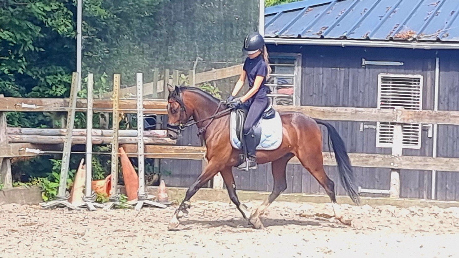 Twee bloedmooie pony ruinen..!, Dieren en Toebehoren, Pony's, Ruin, 3 tot 6 jaar
