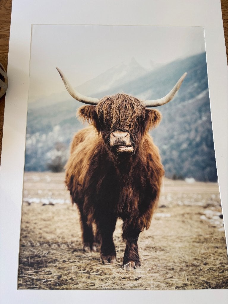 Poster, Verzamelen, Ophalen, Rechthoekig Staand, Deurposter of groter, Zo goed als nieuw