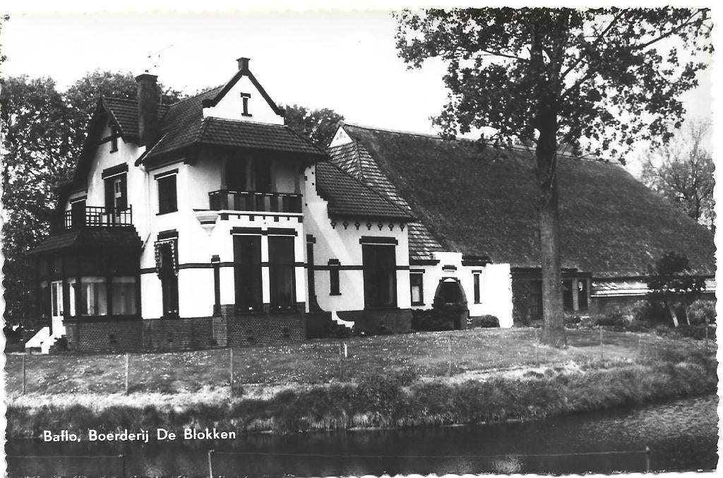 Baflo;  Boerderij De Blokken, Verzamelen, Verzenden, 1960 tot 1980, Ongelopen, Groningen