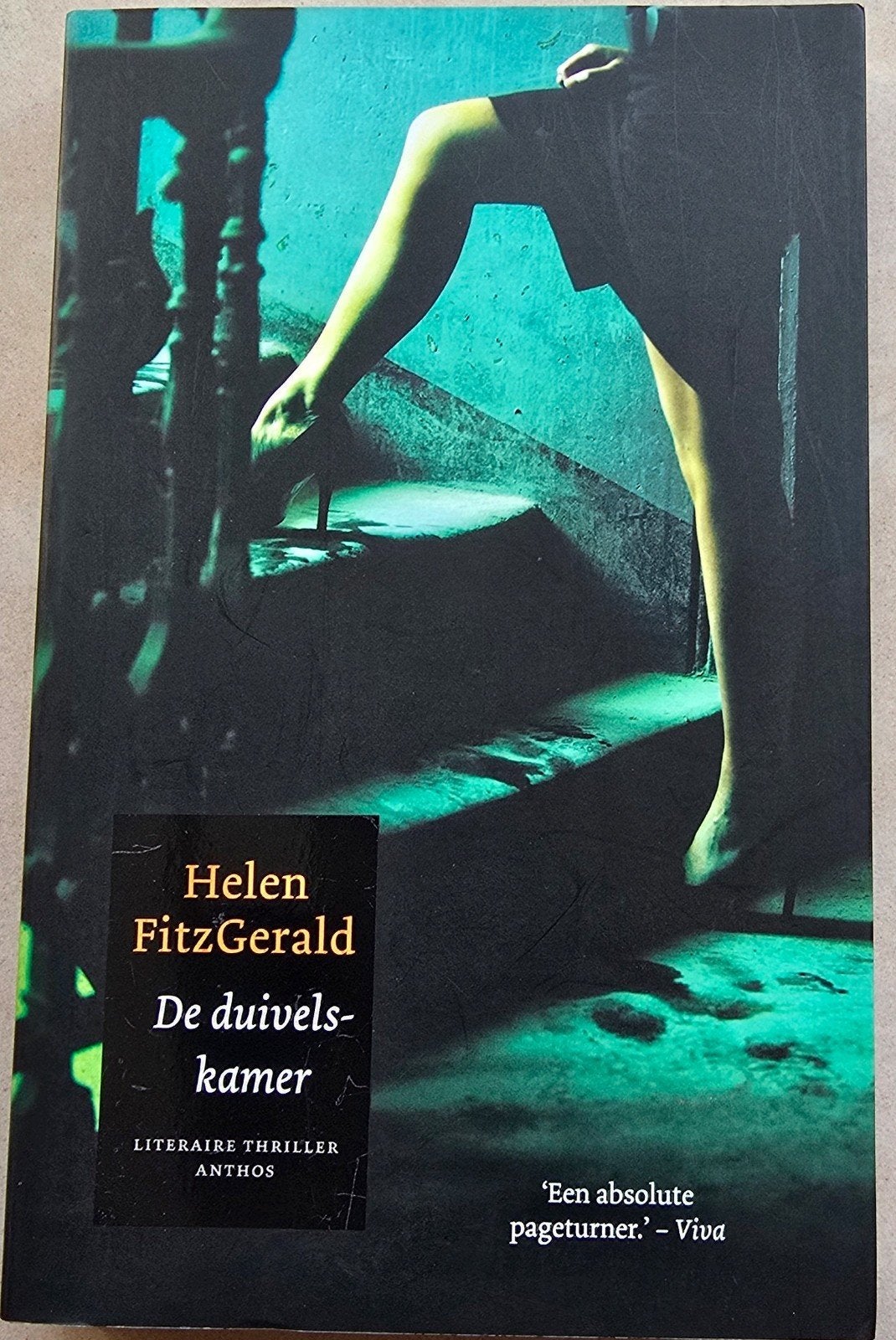 Helen FitzGerald - De duivels-kamer (Literaire thriller), Boeken, Ophalen of Verzenden, Zo goed als nieuw, Helen FitzGerald, Europa overig