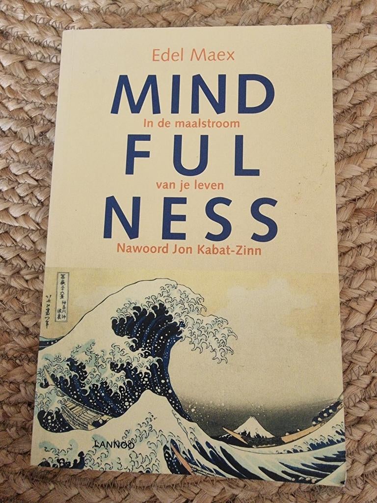 Mindfulness: In de maalstroom van je leven - Edel Maex, Meditatie of Yoga, Zo goed als nieuw, Instructieboek, Edel Maex