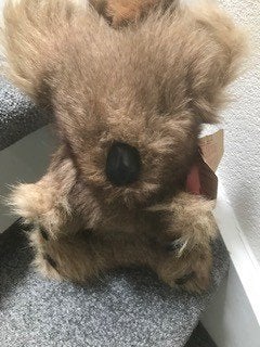 Koala Beer met jong opgezet, Verzamelen, Dierenverzamelingen, Ophalen of Verzenden, Gebruikt, Wild dier, Opgezet dier