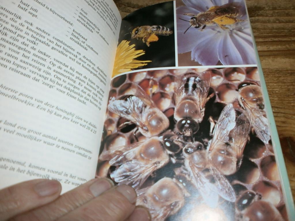 kijk op bijen wim oudshoorn tips en fotos, Ophalen of Verzenden, Gelezen, Overige onderwerpen