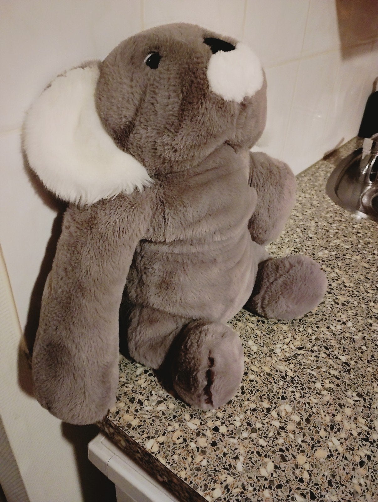 groot model verzwaarde knuffel koala, 25 euro., Ophalen, Zo goed als nieuw, Overige typen