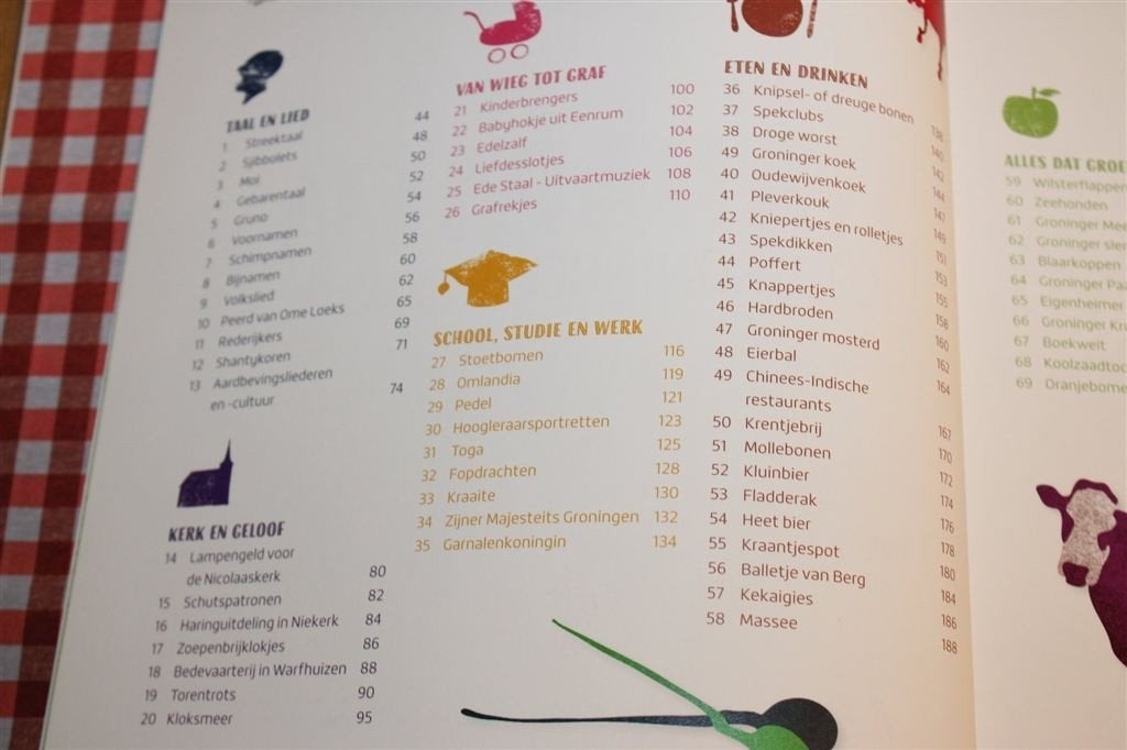 Wadapatja — 101 Groninger Tradities & Gebruiken, Ophalen of Verzenden, Zo goed als nieuw