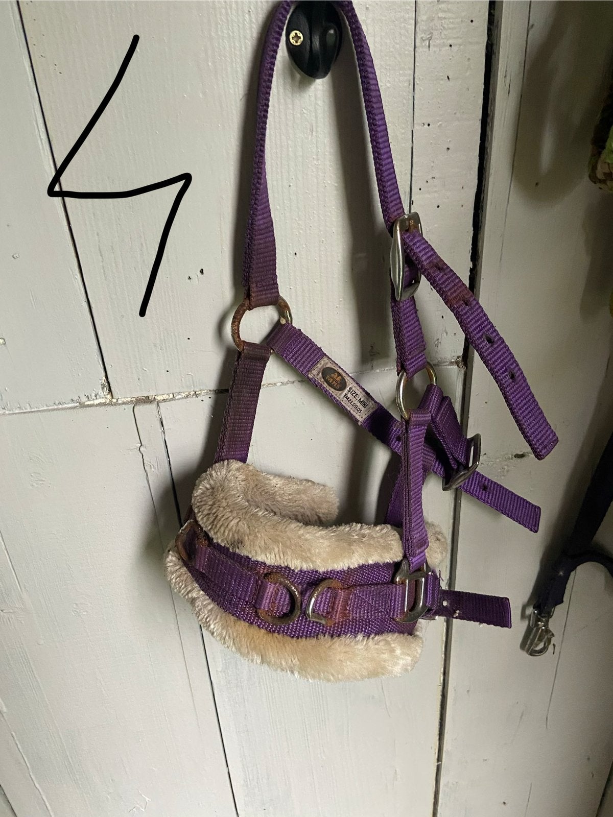 Verschillende halsters te koop shetlander en mini Shetlander, Shetlander, Ophalen of Verzenden, Halster, QHP