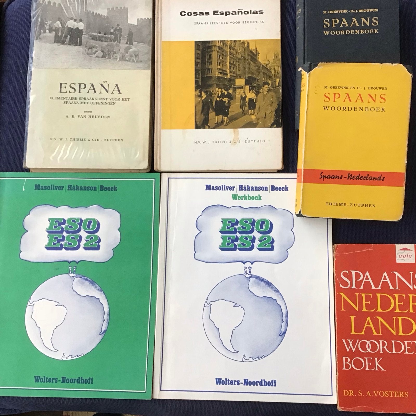Diverse Spaanse lesboeken en woordenboeken, Boeken, Taal | Overige Talen, Verzenden, Gelezen, Non-fictie