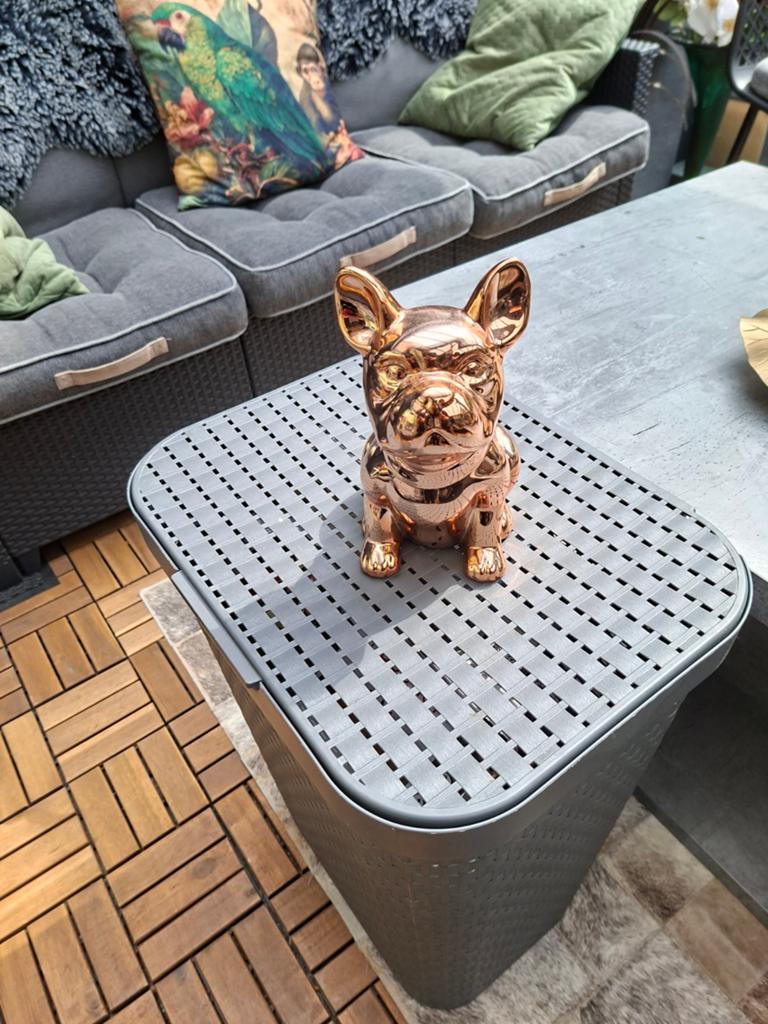 Ted Baker French Bulldog Rose Gold spaarpot., Ophalen of Verzenden