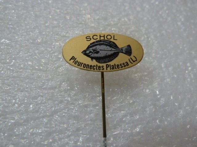 Vintage Speldje Schol Pleuronectes Platessa (L), Ophalen of Verzenden, Gebruikt, Dier of Natuur, Speldje of Pin