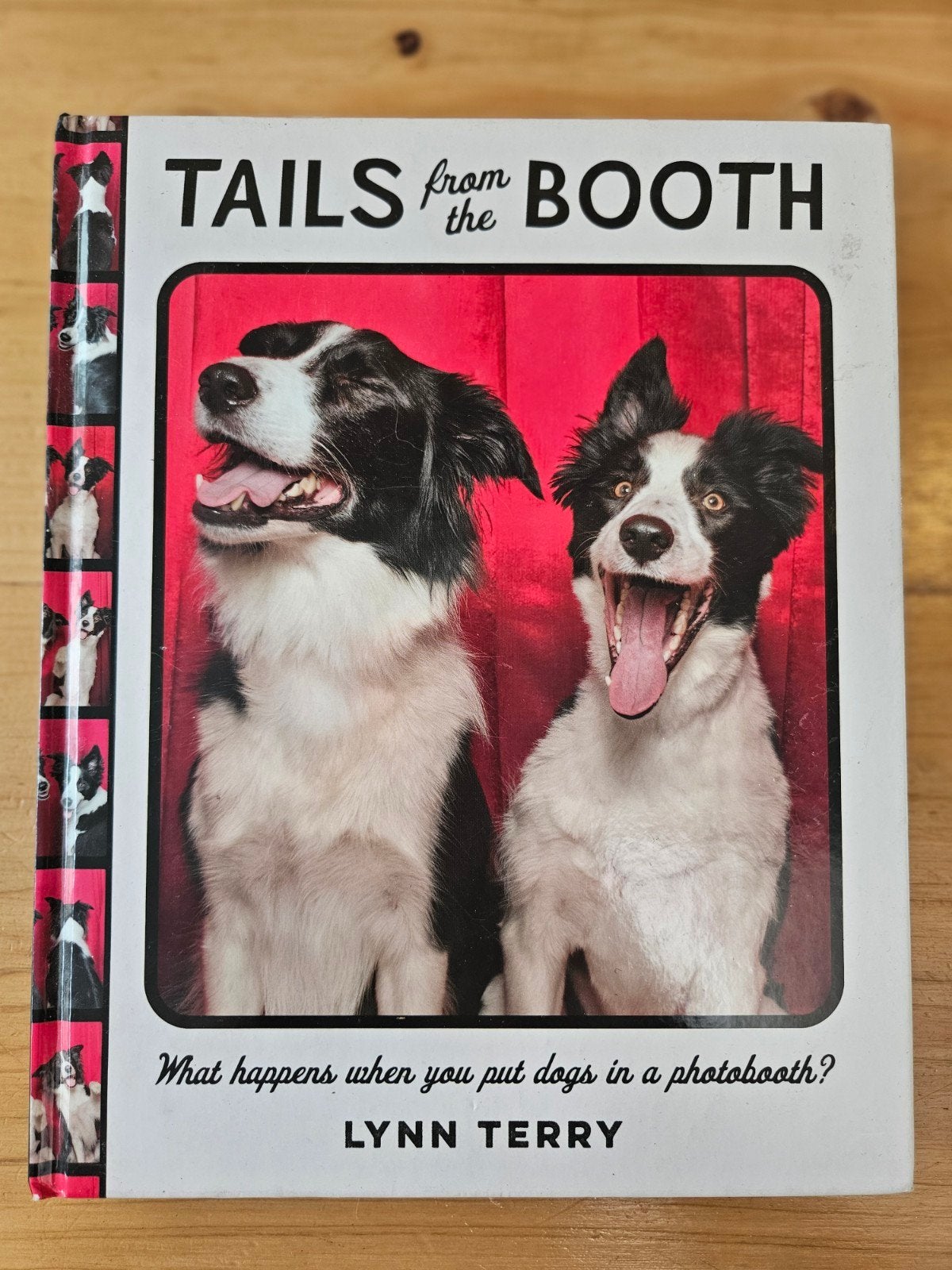 Tails from the Booth - Honden in een fotohokje, Ophalen of Verzenden, Zo goed als nieuw