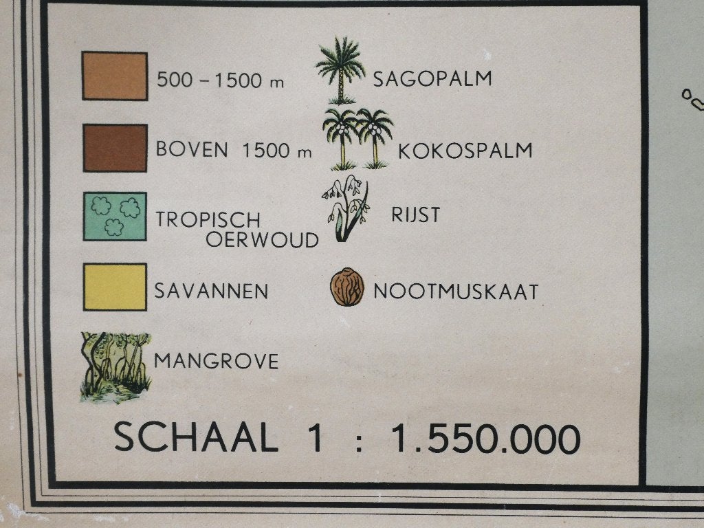 Schoolkaart Nederlands Nieuw Guinea Bakker & Rusch - 1950, Ophalen of Verzenden, Aardrijkskunde