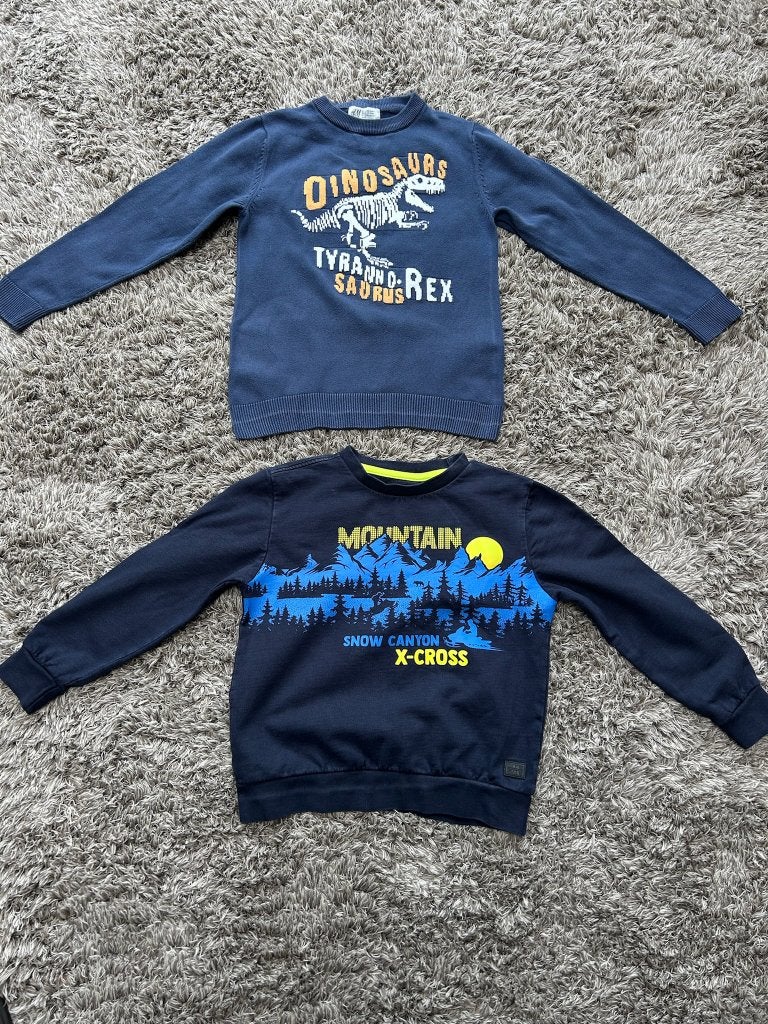 2 Stoere truien, Maat 122, T-Rex & Mountains, In goede staat, Trui of Vest, H&M, Ophalen of Verzenden, Zo goed als nieuw