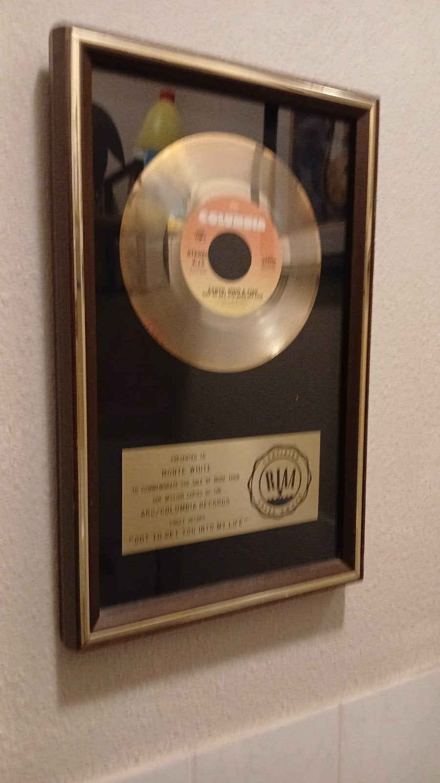 Gouden Platen en Awards gezocht of koop of ruil 70/80er jare, Ophalen