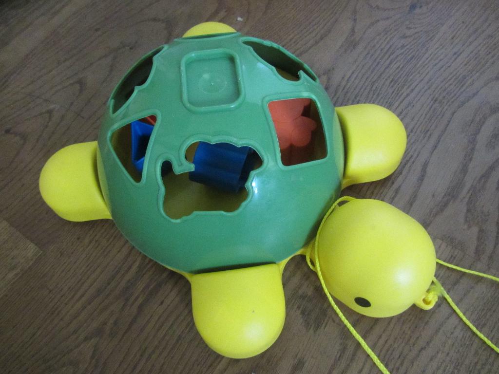 Vormen schildpad, Ophalen of Verzenden, Gebruikt, Overige typen