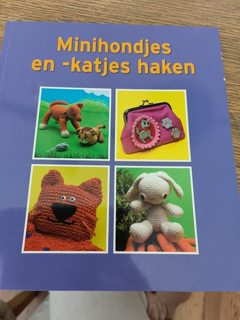 Minirondjes en -katjes haken - Boek, Ophalen of Verzenden, Gelezen, Breien en Haken, Onbekend