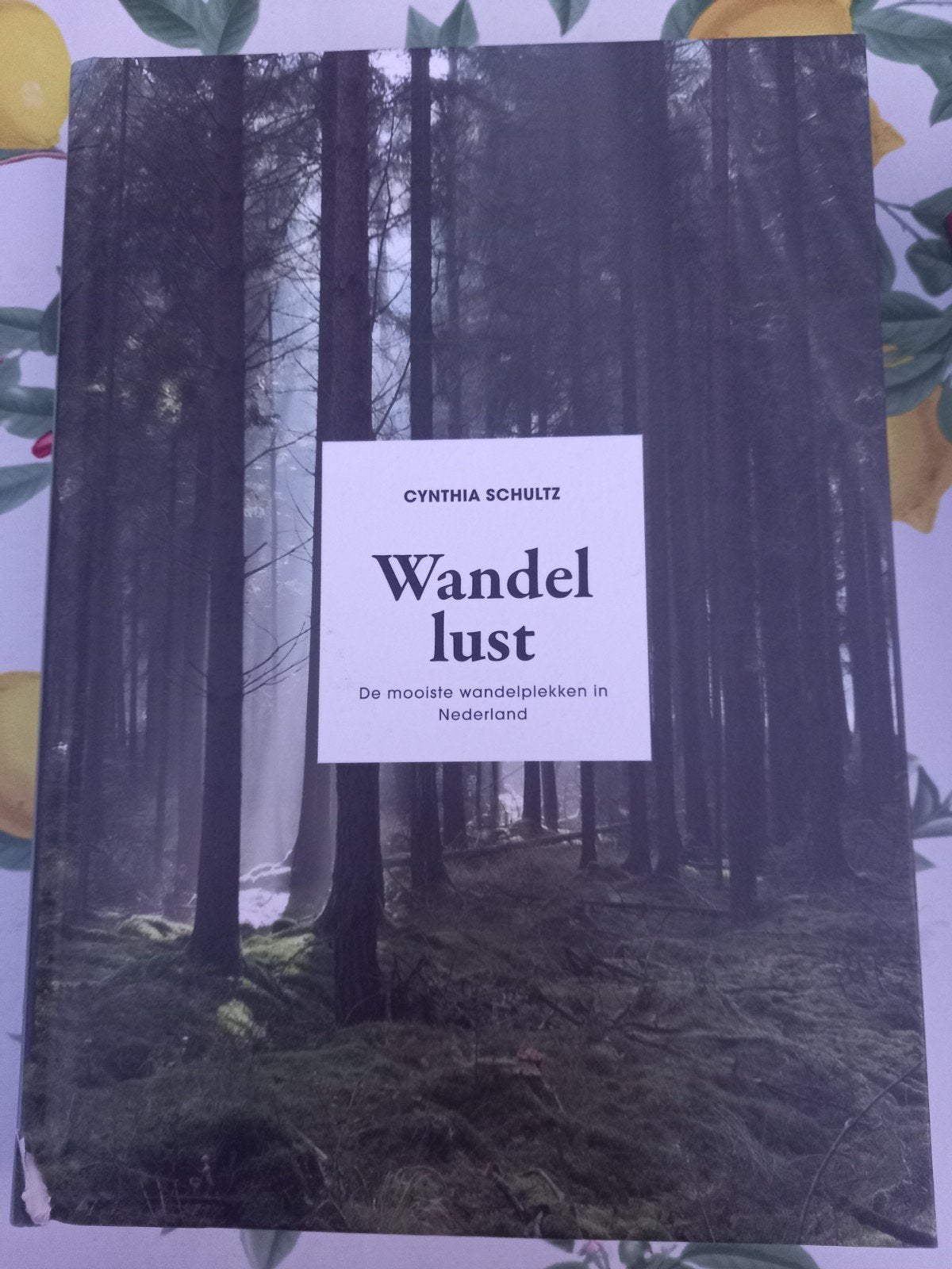 H Cynthia Schultz - Wandellust, Boeken, Mode, Ophalen of Verzenden, Zo goed als nieuw, Overige onderwerpen, Cynthia Schultz