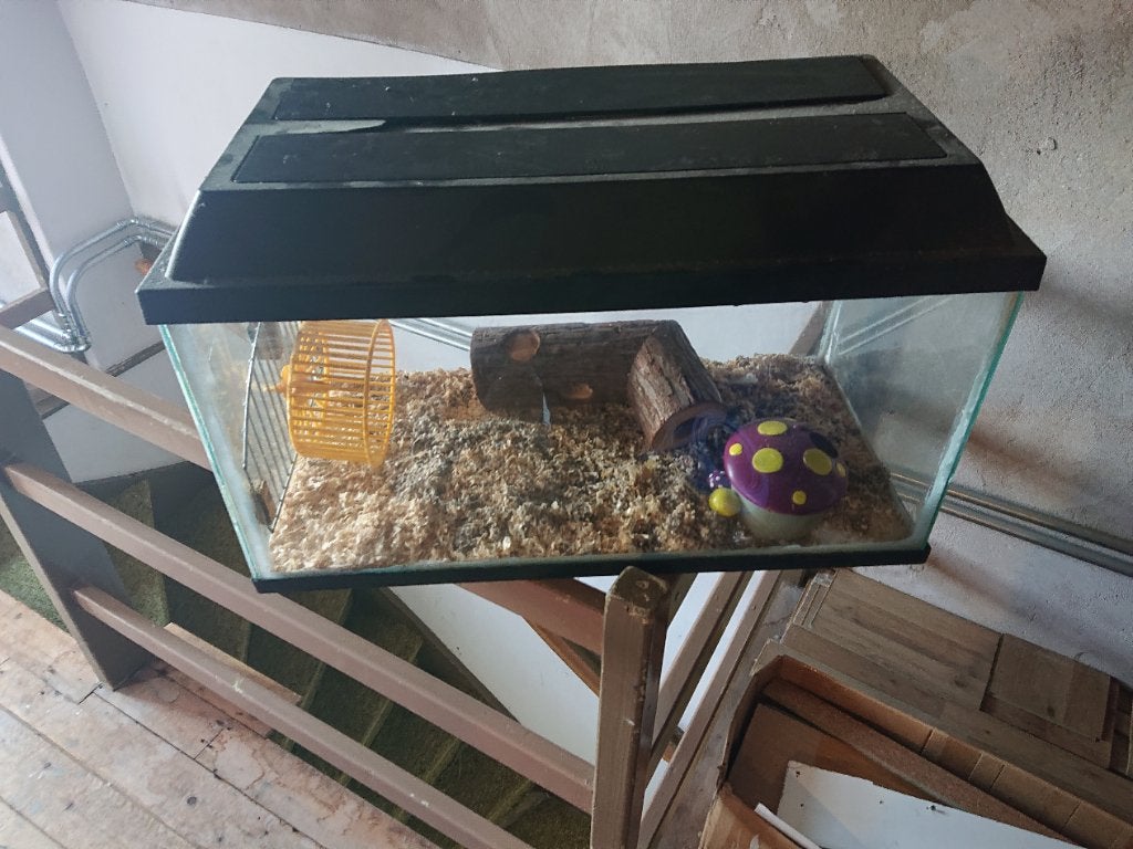 Gratis aquarium voor een klein knaagdier of reptiel, Ophalen, Gebruikt, Overige typen