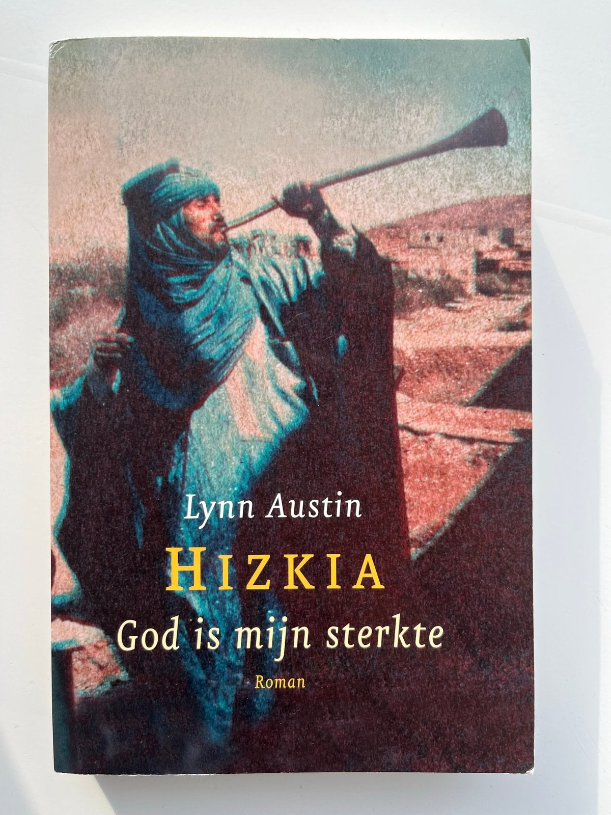 Hizkia: God is mijn sterkte - Lynn Austin, Ophalen of Verzenden, Zo goed als nieuw