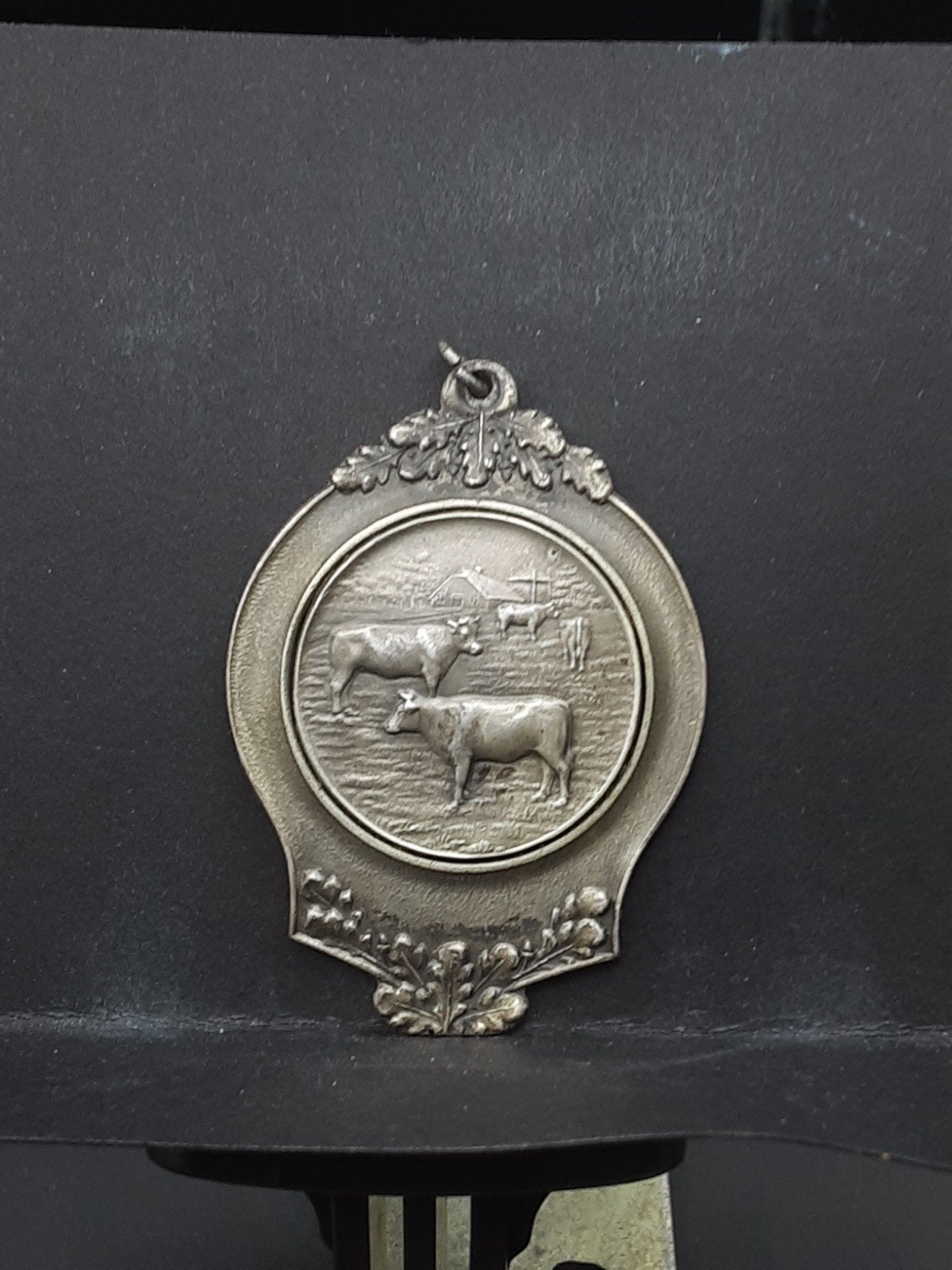 Koeien medaille 2e prijs 1938, Ophalen of Verzenden, Overige materialen, Nederland