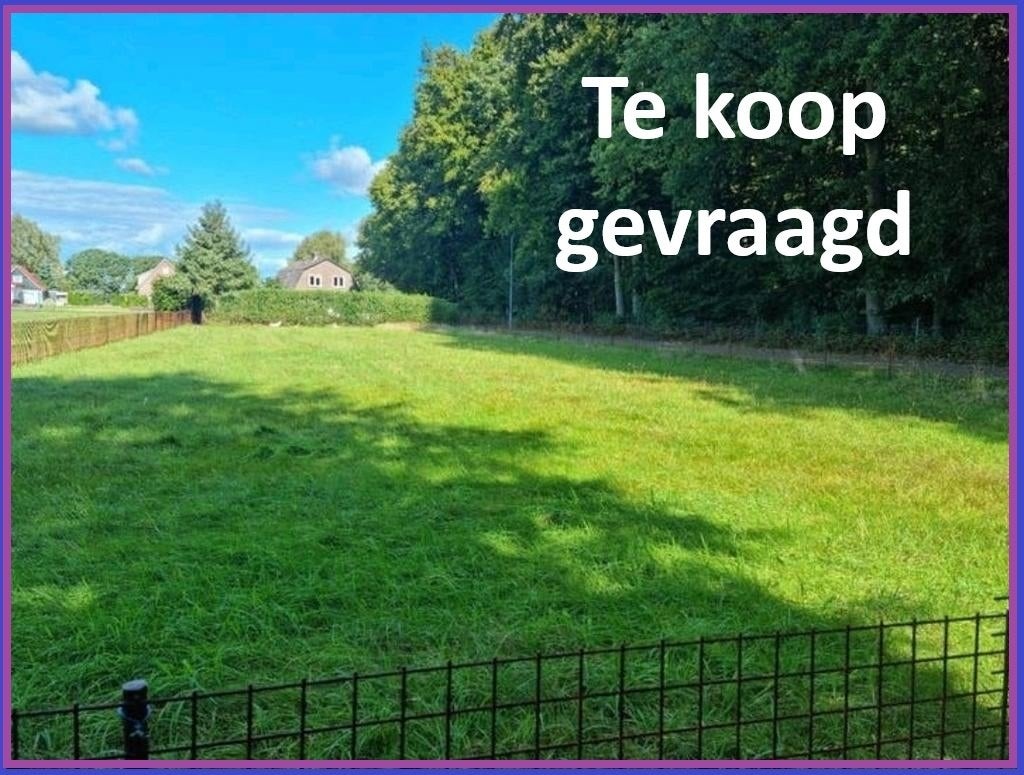 te koop gevraagd kleine weilanden weidegang, Dieren en Toebehoren, Stalling en Weidegang, Weidegang