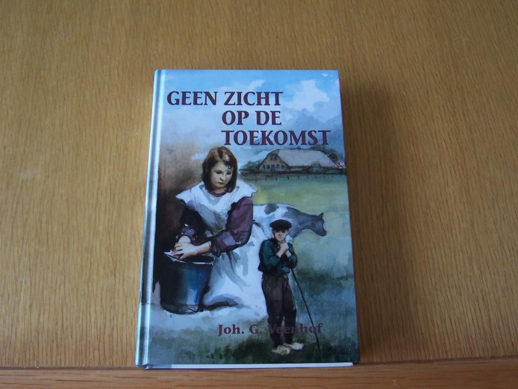 Joh G Veenhof Geen zicht op de toekomst, Boeken, Romans, Ophalen of Verzenden, Zo goed als nieuw