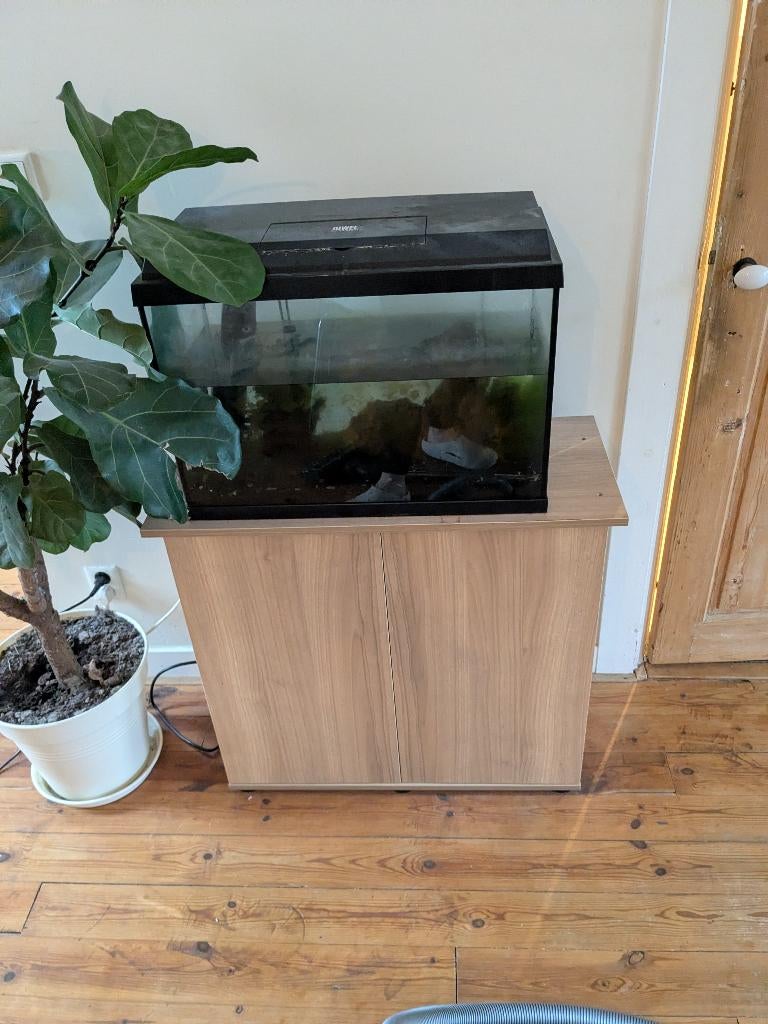 Aquarium met toebehoor, Ophalen, Gebruikt, Grind, Zand of Voedingsbodem