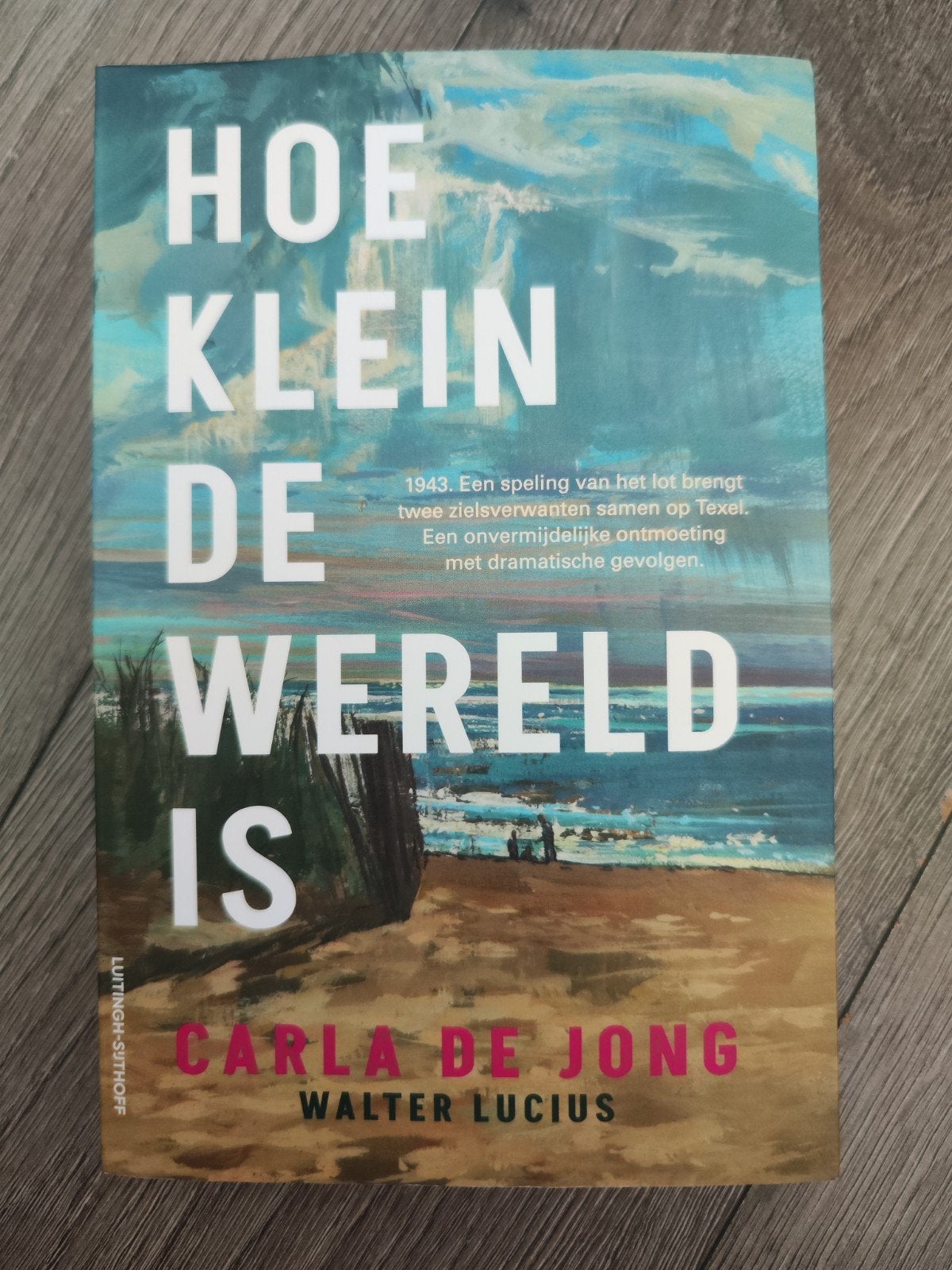 Hoe klein de wereld is – Carla de Jong & Walter Lucius, Ophalen of Verzenden, Zo goed als nieuw, Carla de Jong; Walter Lucius
