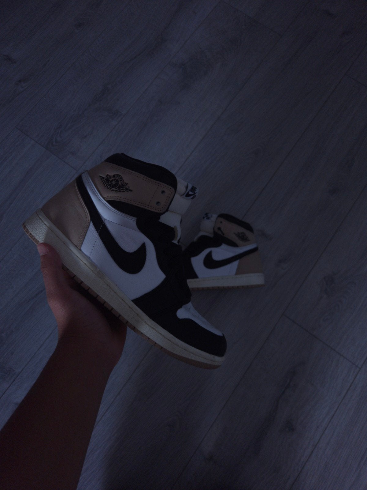 Jordan 1 high, Ophalen of Verzenden, Zo goed als nieuw, Nike Air Jordan