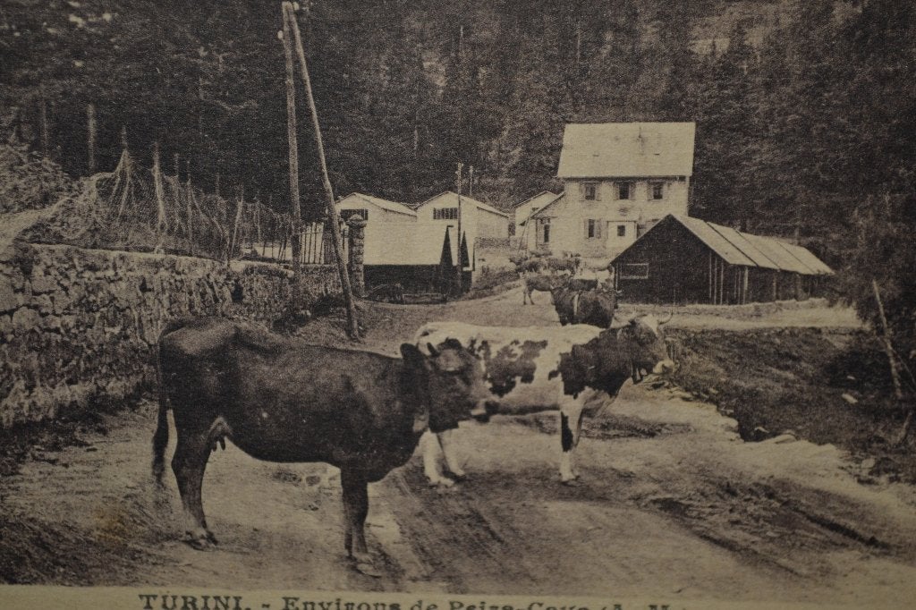 FRANKRIJK 1940/50 TURINI MAN MET KOEIEN BOERDERIJ, Ophalen of Verzenden, 1920 tot 1940, Ongelopen, Sterren en Beroemdheden
