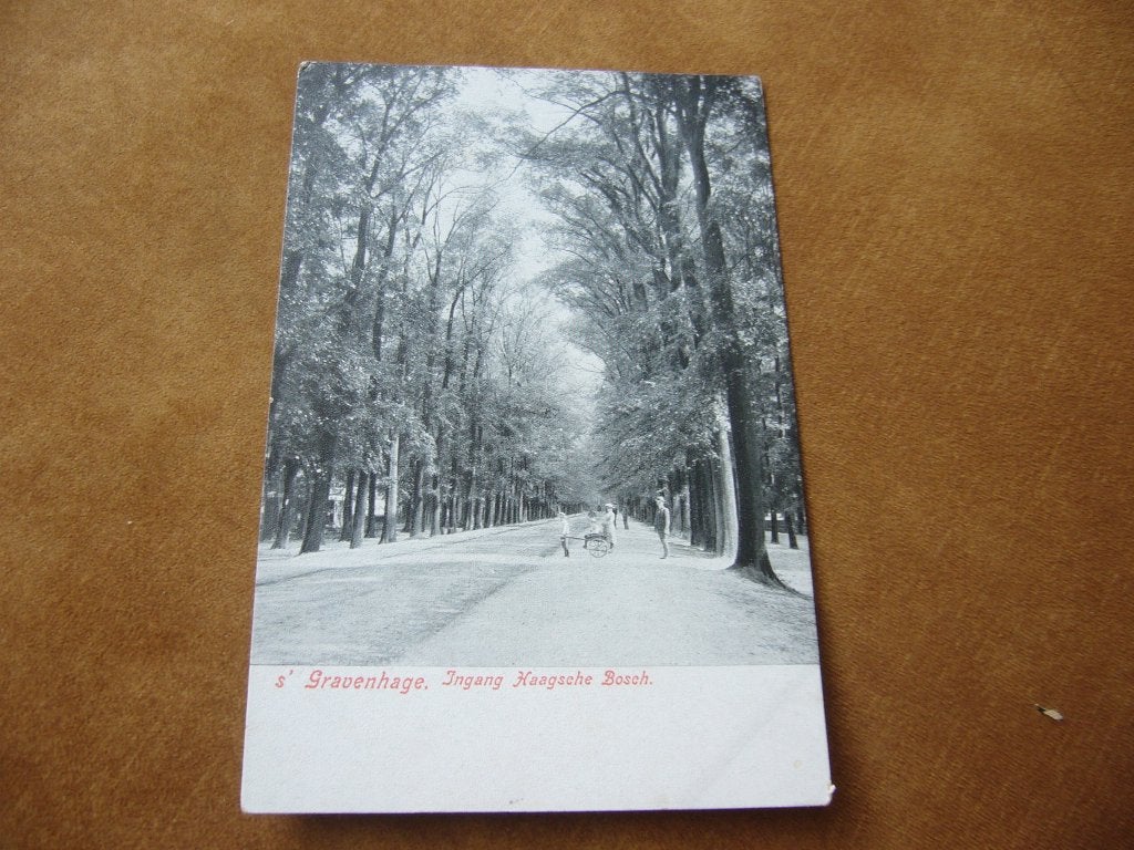 S, GRAVENHAGE  =  INGANG HAAGSCHE BOSCH  BRIEFKAART, Verzamelen, Ophalen of Verzenden, Voor 1920, Ongelopen, Zuid-Holland