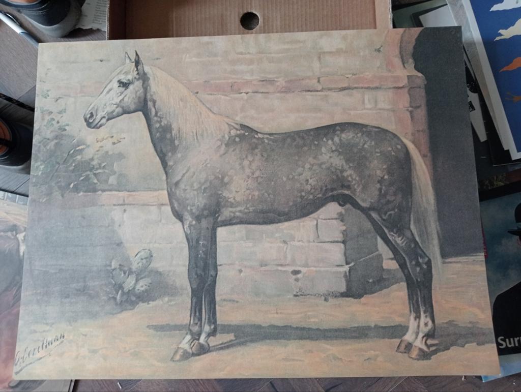 Otto Eerelman prent Paard, Ophalen of Verzenden, Voor 1940, Gebruikt, Overige onderwerpen