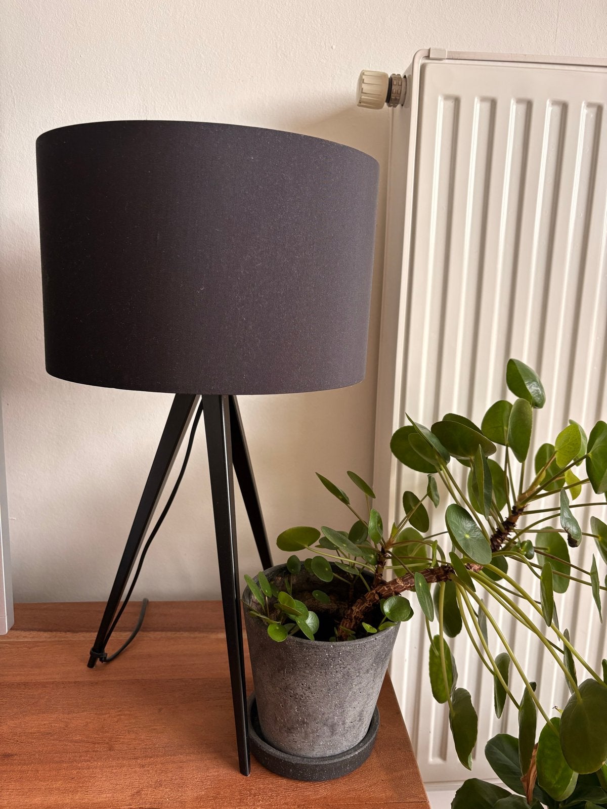 Zuiver Tripod Tafellamp - Zwart, Ophalen of Verzenden, Zo goed als nieuw, Metaal