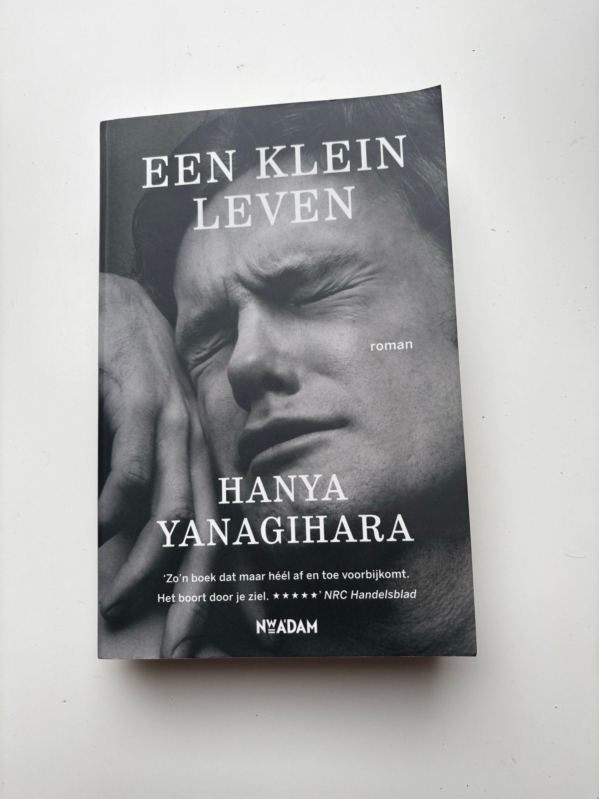 Een klein leven - Hanya Yanagihara (roman), Ophalen of Verzenden, Zo goed als nieuw, Nederland