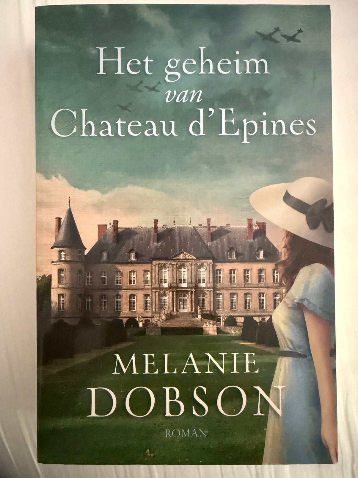 Melanie Dobson - Het geheim van Chateau d´Epines, Ophalen of Verzenden, Gelezen, Melanie Dobson