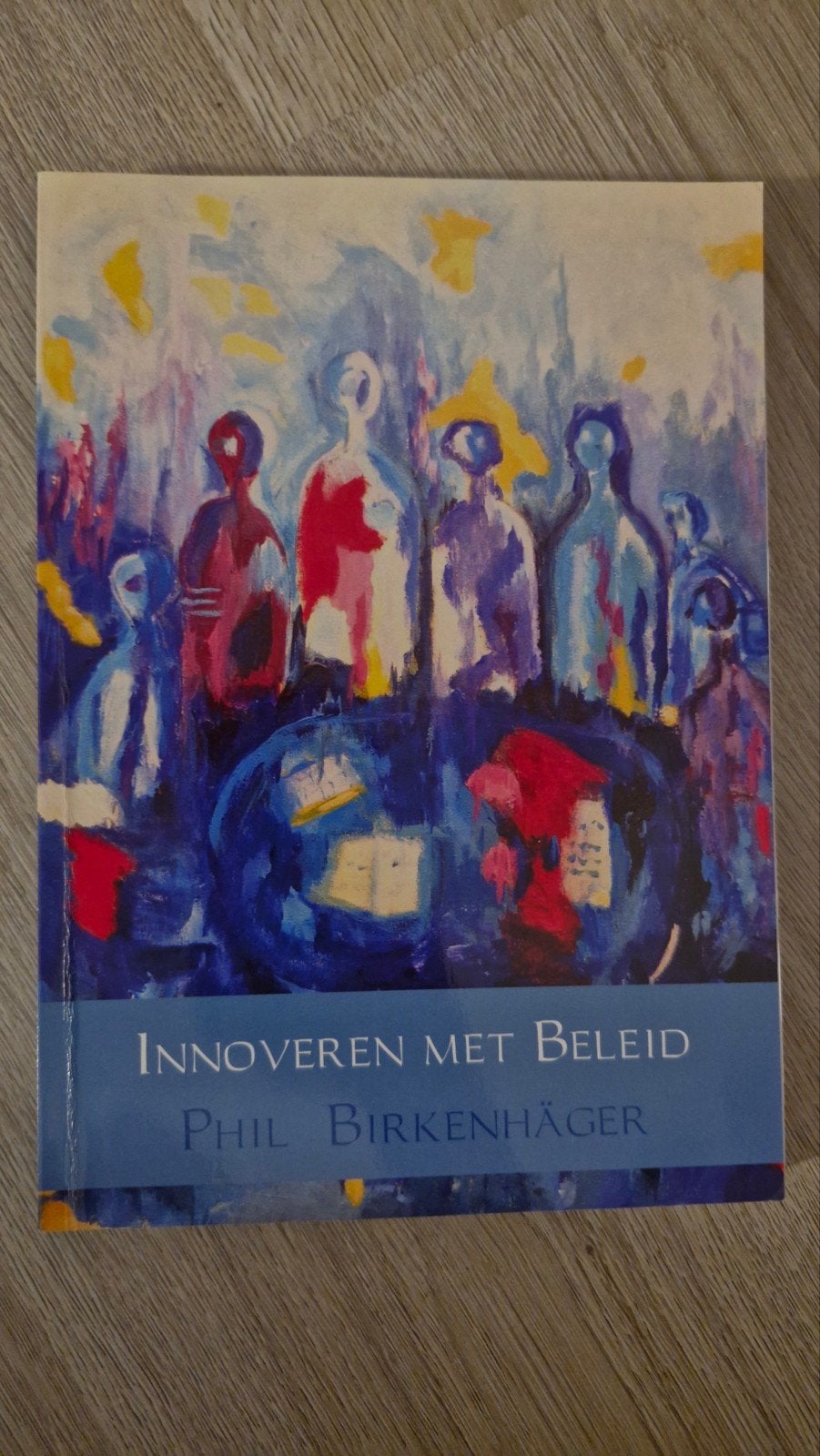 Phil Birkenhäger - Innoveren met beleid, Sociale wetenschap, Ophalen of Verzenden, Zo goed als nieuw, Phil Birkenhäger