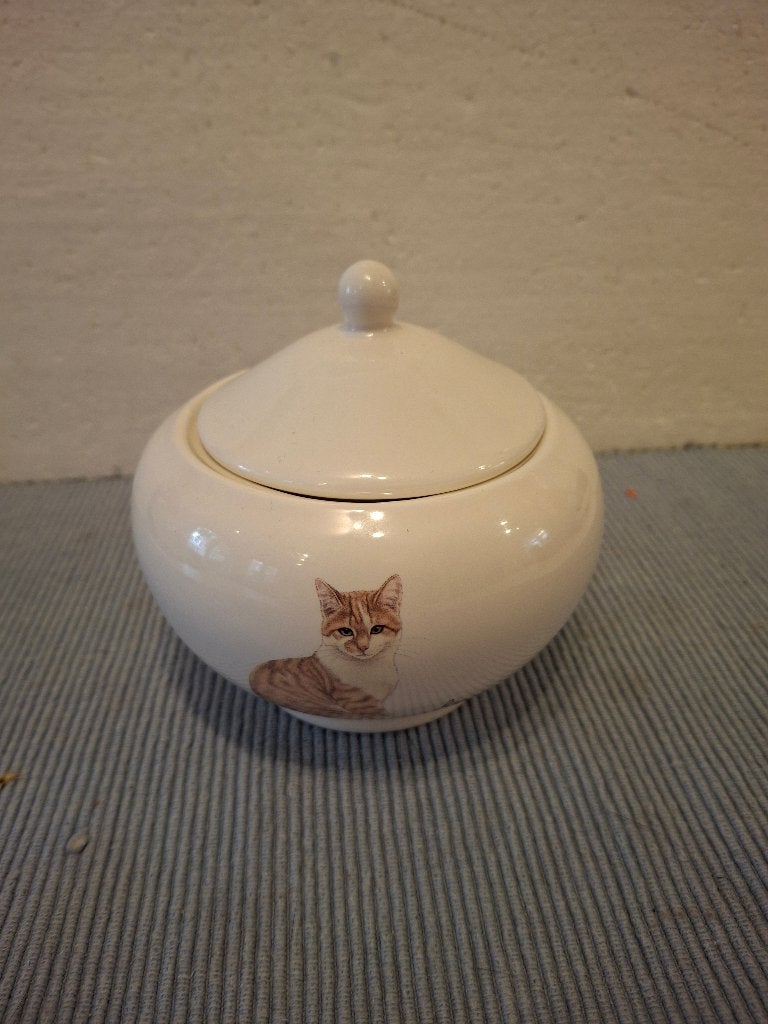 Francien - leuke aardewerk suikerpot met poezen / katten, Ophalen of Verzenden