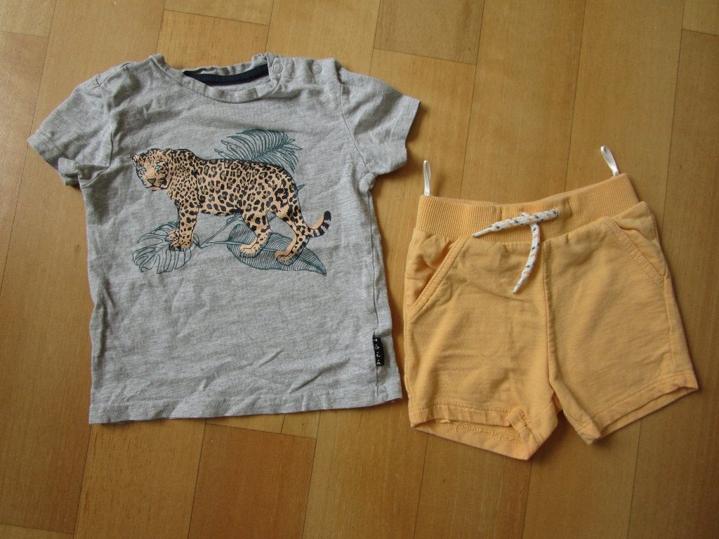 Bambino + Babyclub maat 74 - korte broek + shirt, Kinderen en Baby's, Babykleding | Maat 74, Bambino + Babyclub, Ophalen of Verzenden