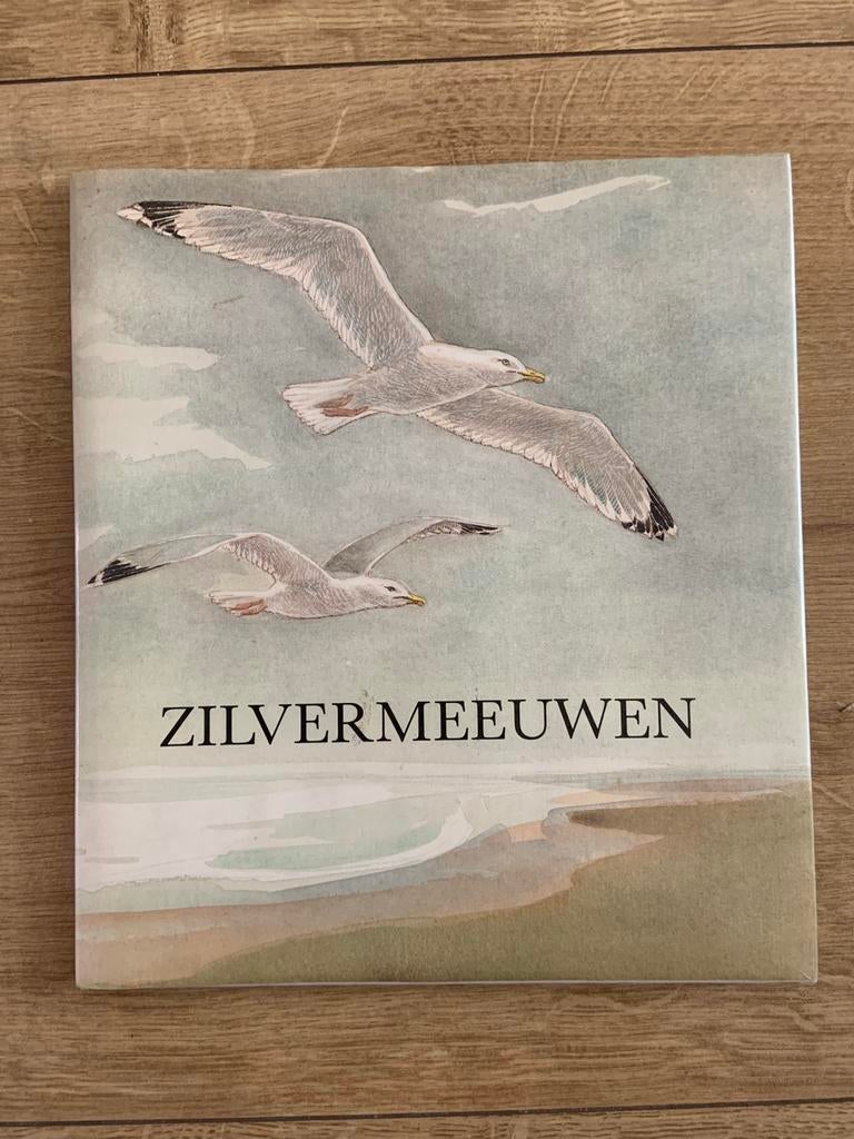 Zilvermeeuwen sacha van dulm conny sykora, Boeken, Ophalen of Verzenden, Zo goed als nieuw