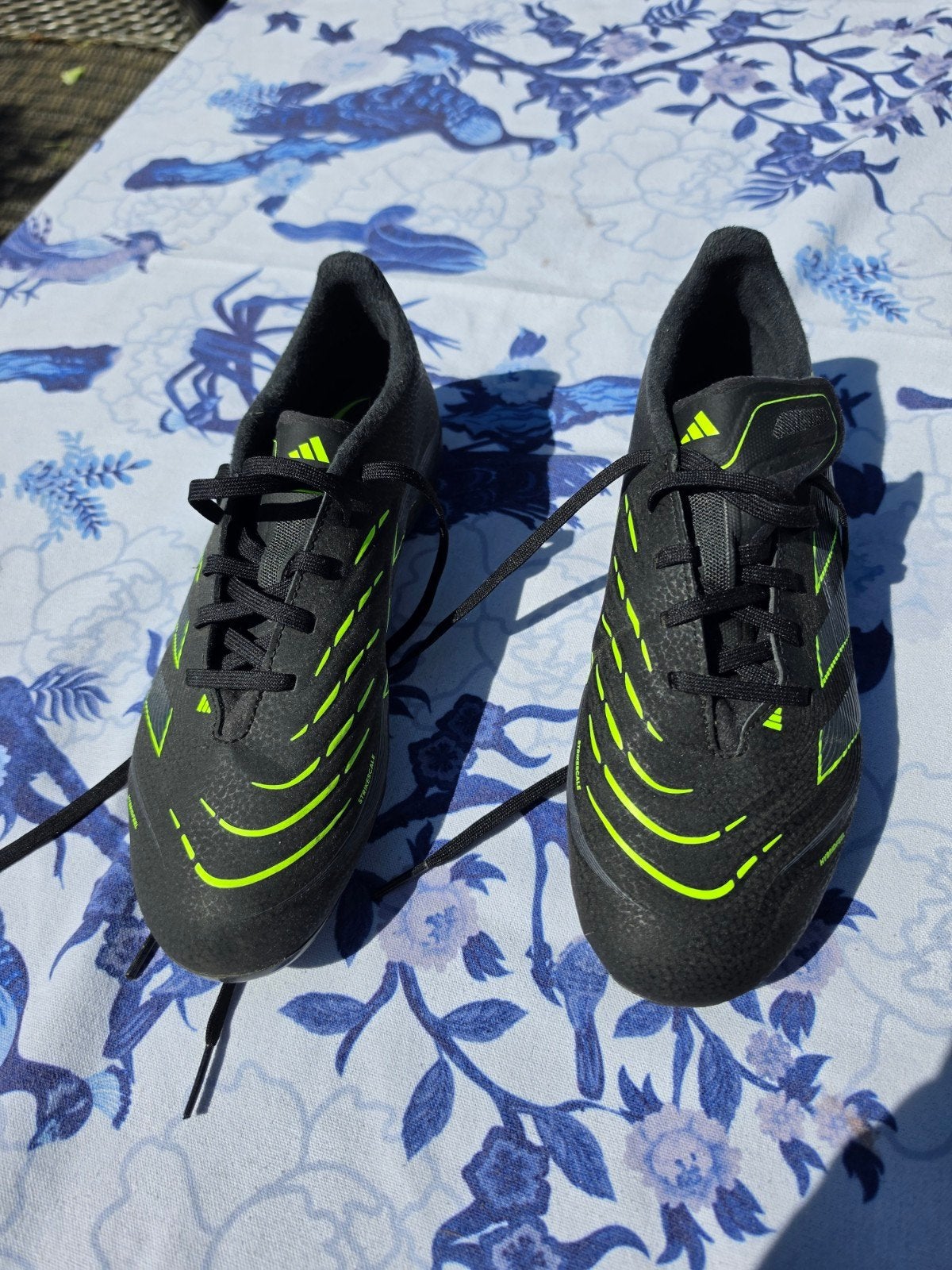 adidas predator maat 38 2/3, Maat XS of kleiner, Ophalen, Zo goed als nieuw, Schoenen