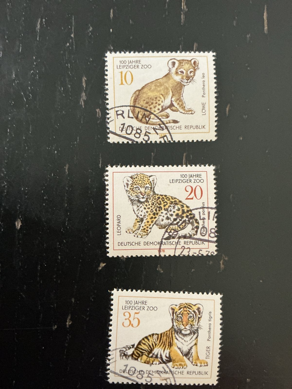 DDR Postzegels: 100 Jaar Dierentuin Leipzig - Grote Katten, Ophalen of Verzenden, DDR, Gestempeld