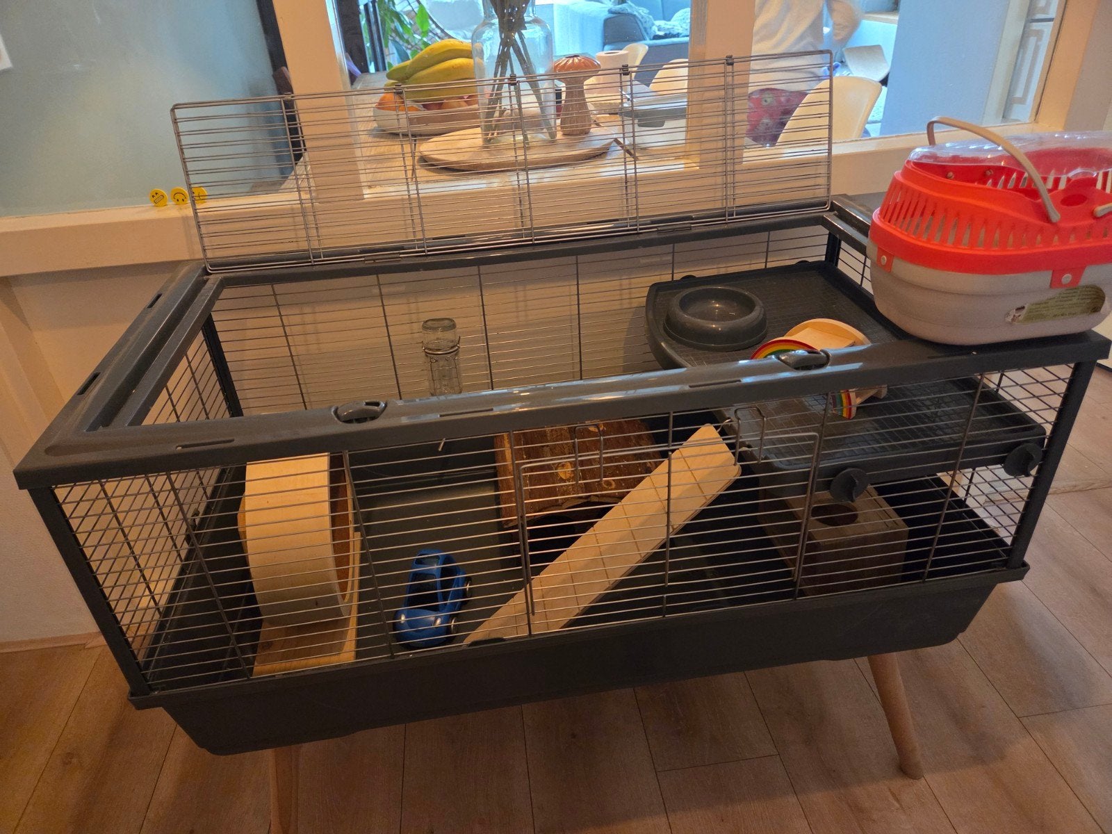hamster kooi en toebehoren, Ophalen, Kooi, Hamster, Minder dan 60 cm