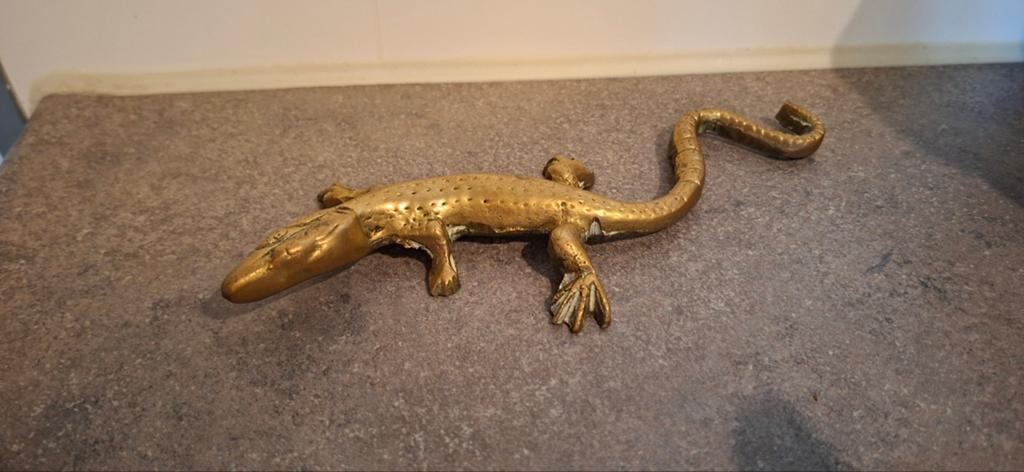 Koperen salamander, Ophalen