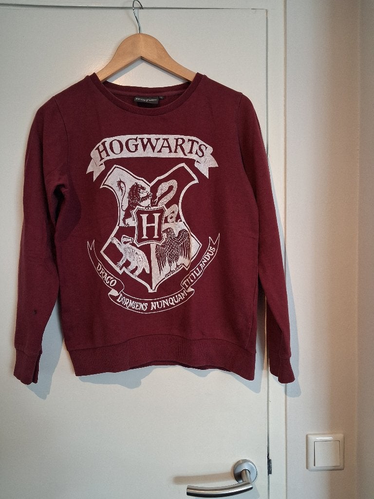 bordeaux rode Harry Potter Hogwarts Trui  Sweater mt 40, Ophalen of Verzenden, Gebruikt, Overige typen