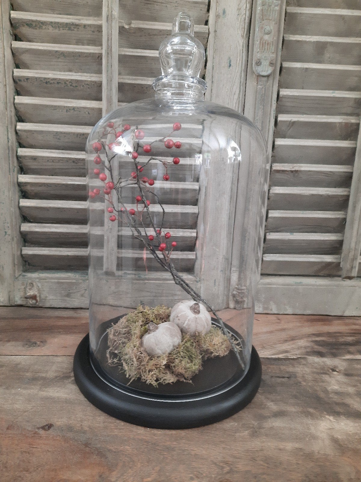 Hoge stolp op houten onderbord inclusief decoratie cloche, Huis en Inrichting, Glas, Ophalen, Zo goed als nieuw, 20 cm