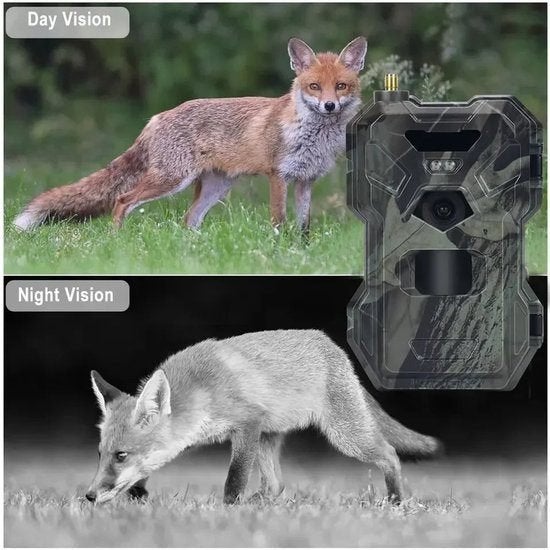 4G Wildcamera – Jachtcamera – Trailcamera