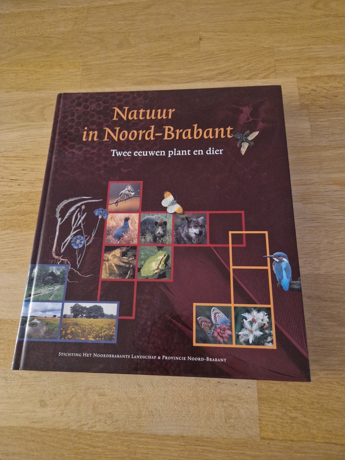 Natuur in Noord-Brabant: Twee Eeuwen Plant en Dier, Ophalen of Verzenden, Zo goed als nieuw, Natuur algemeen, Stichting Het Noordbrabants Landschap & Provincie Noord-Brabant
